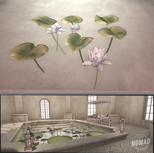 NOMAD 10. Aquae Spadanae Lotus White B