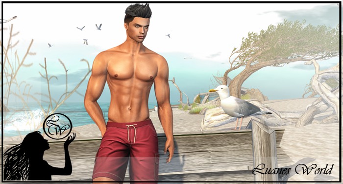 :LW: Poses - Never stop dreaming