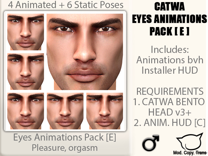 CATWA ANIM Male Eyes [E]