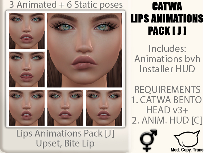 CATWA ANIM Lips [J]