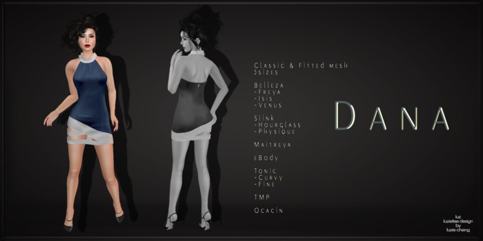 LUZ - Dana 1 - vendor