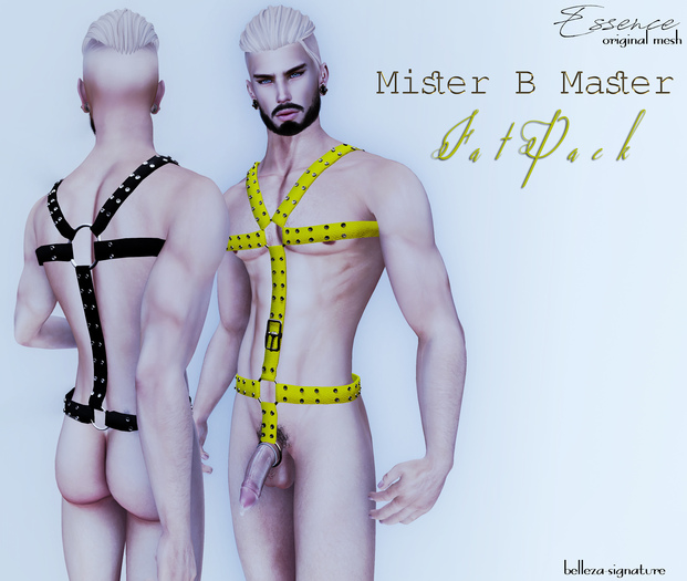 :ESSENCE:Mister B Master FATPACK
