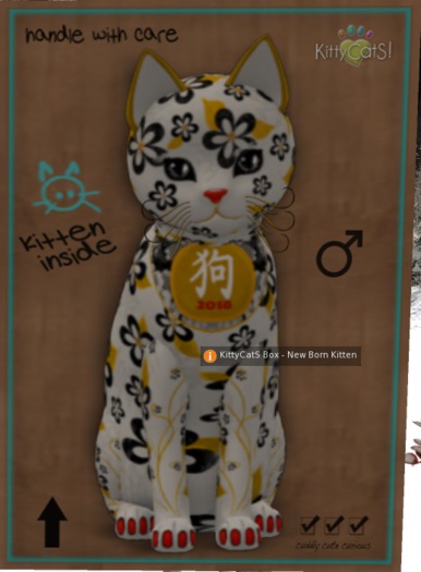 KittyCatS Box - DogCat! - HappyNewYear 2018
