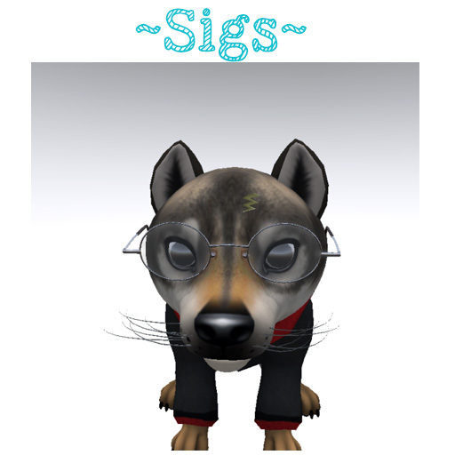 ~ Sigs~ Wizard Glasses set for Red Remora Wolf Pup