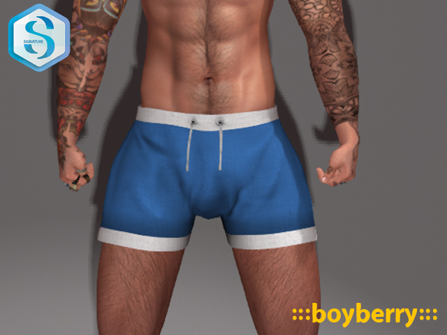 boyberry Adrift Shorts (Signature)