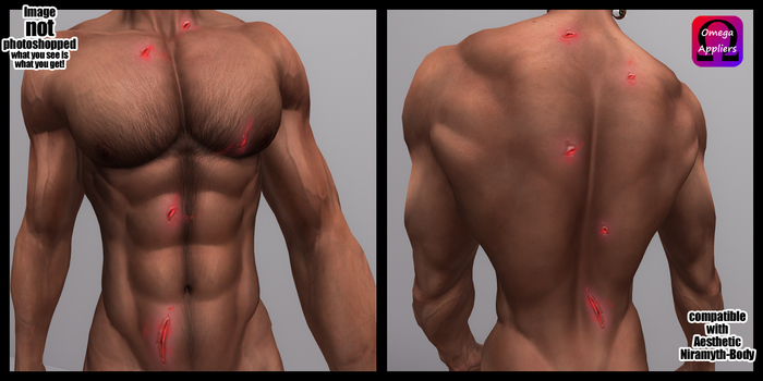 Second Life Marketplace - Arrow Wounds for Aesthetic Niramyth Meshbody