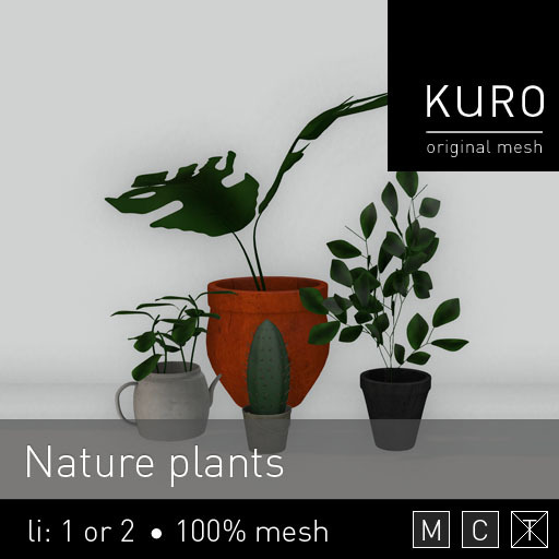 Kuro - Nature plants