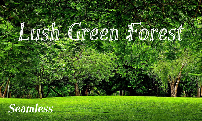 Backdrop  ~Lush green forest~