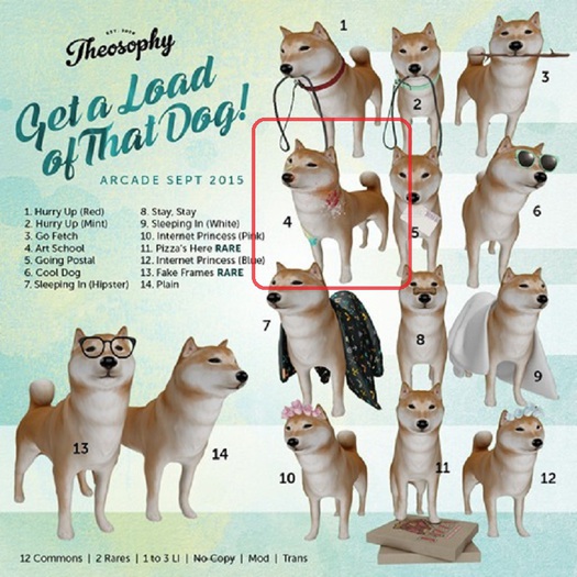 4. {theosophy} Shiba Inu (Art School)