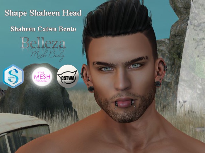 TBS Evan Shaheen Head  "WEAR"