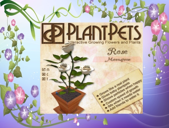 PlantPet Seed [Rose *Carribean Blue*] rare