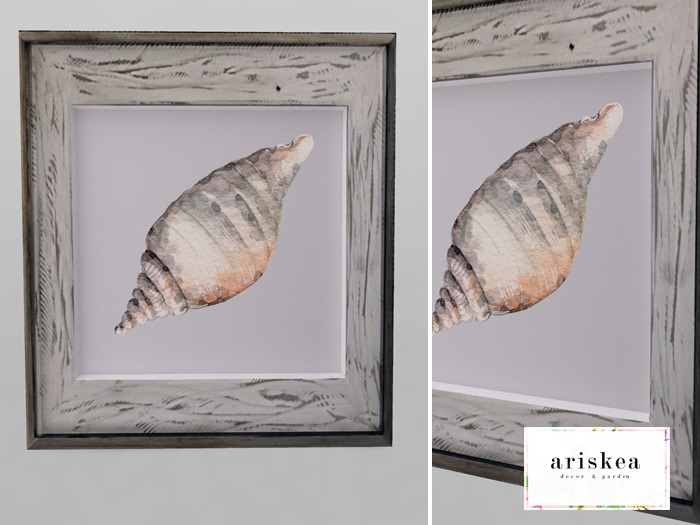 Ariskea//TheDen [Hampton] Shelly Pictures