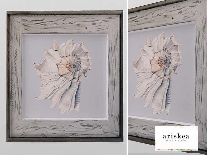 Ariskea//TheDen [Hampton] Shell Pictures