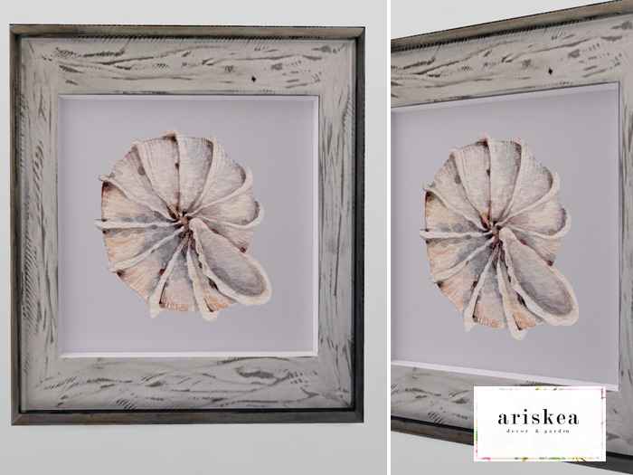 Ariskea//TheDen [Hampton] Escargot Pictures