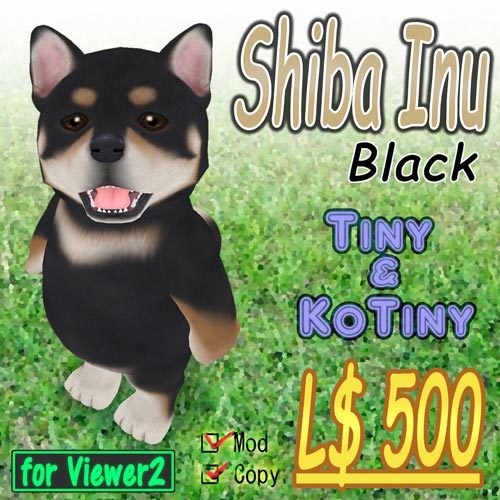 Shiba Inu Black