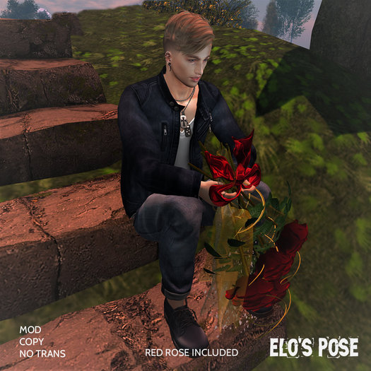 POSE MALE 11
