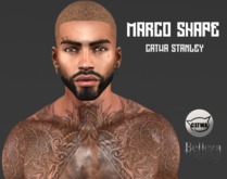 BROTOX - Marco Bento Shape (2 in 1)