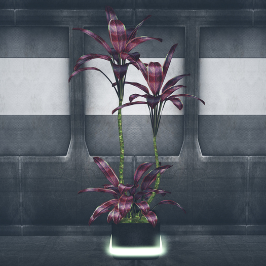 Sci-Ficus (Maul)