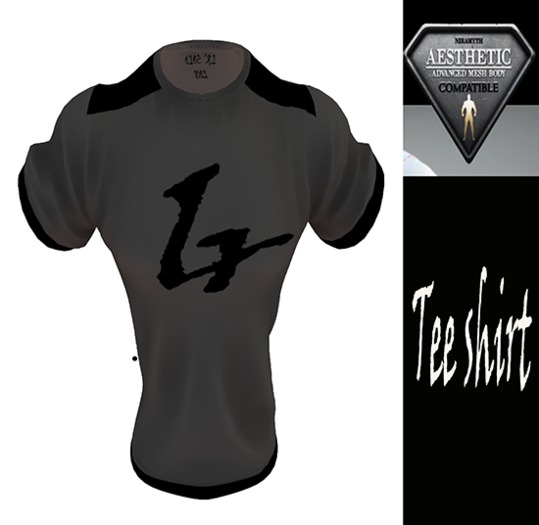 LR` FASHIONS (Aesthetic) TEES [grey]