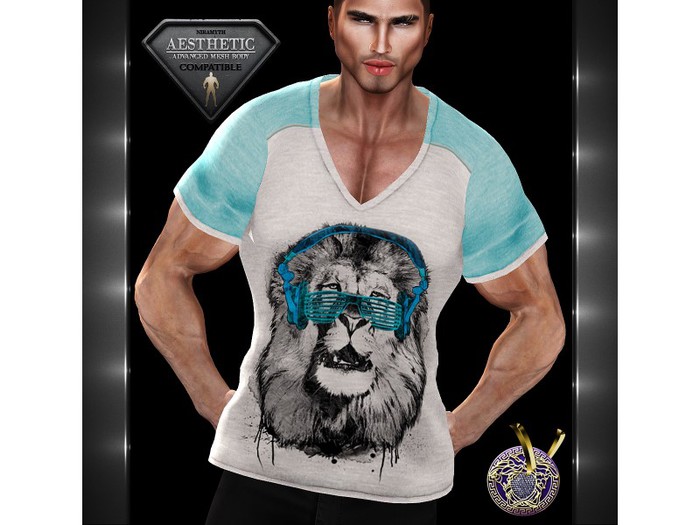 AESTHETIC_V_Neck T-Shirt_1