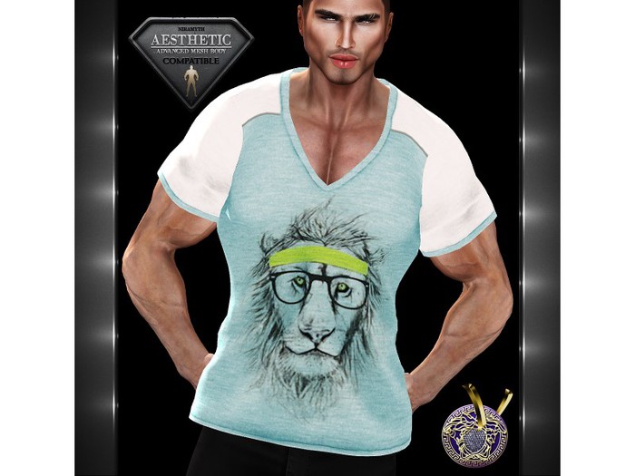 AESTHETIC_V_Neck T-Shirt_2