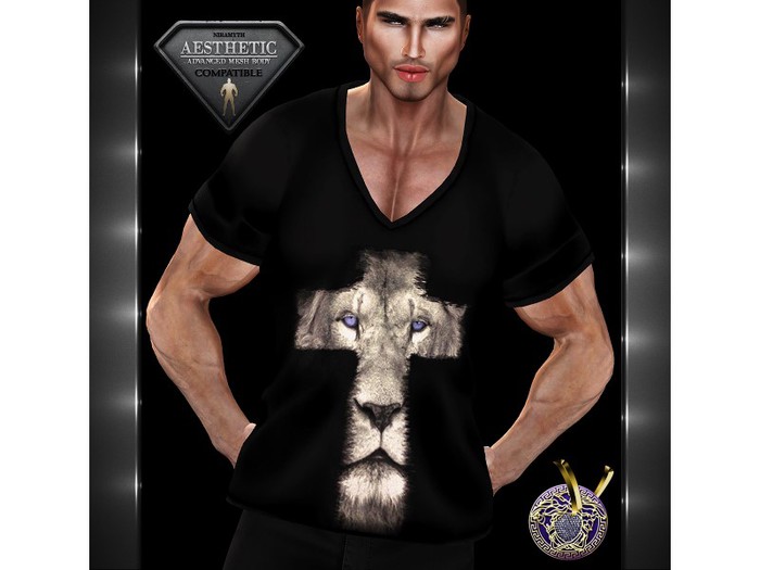 AESTHETIC_V_Neck T-Shirt_8