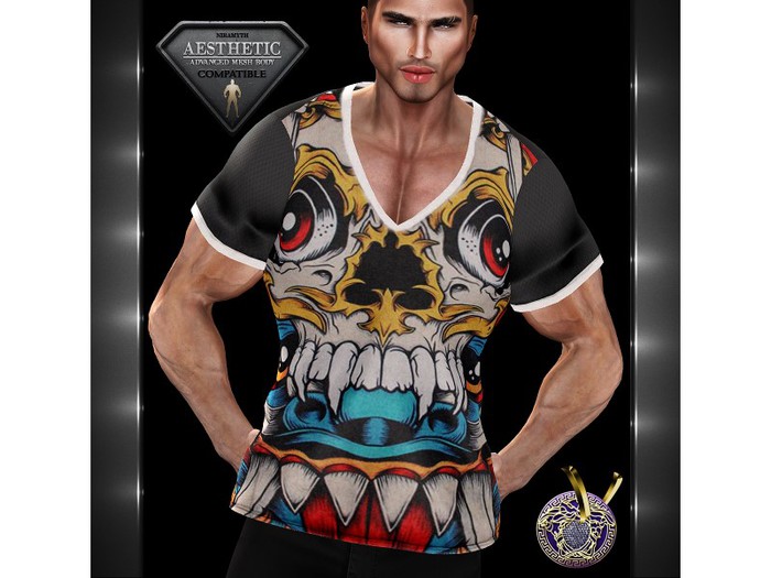 AESTHETIC_V_Neck T-Shirt_O_11