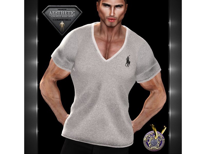 AESTHETIC_V_Neck T-Shirt_O_2