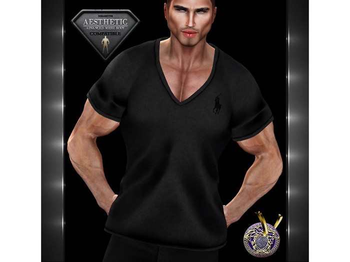 AESTHETIC_V_Neck T-Shirt_O_5