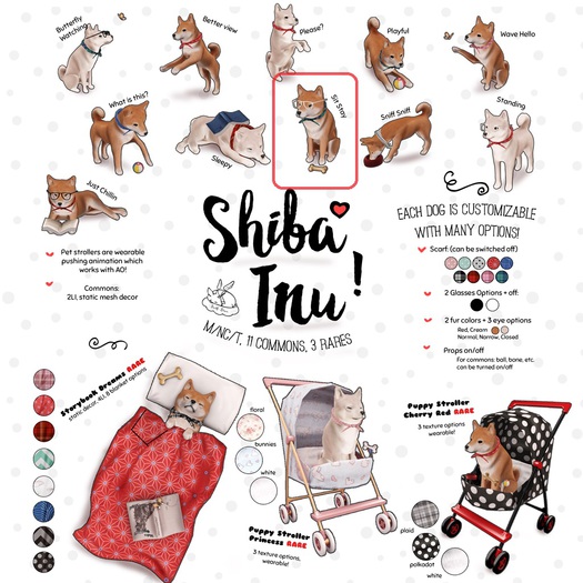 +Half-Deer+ Shiba Inu - Sit Stay(rez) 1