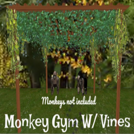 Monkey Gym W / Vines