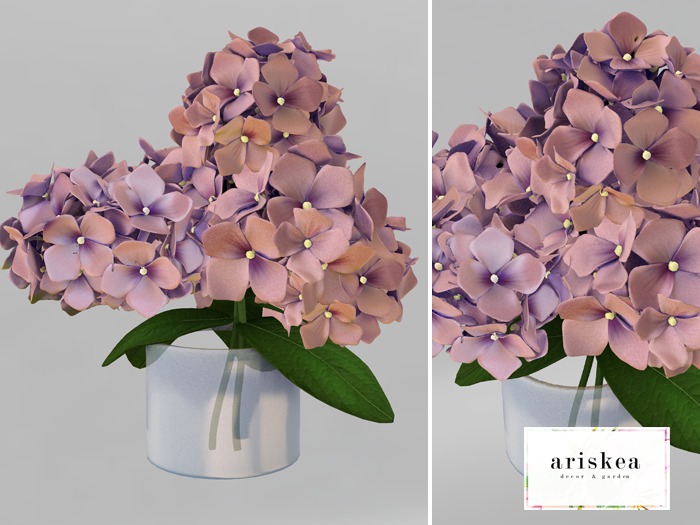 Ariskea[Isabelle] Hydrangea Vase [Rosy]
