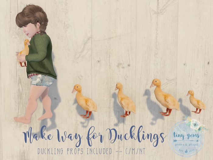 {tg.} - Make Way for Ducklings. (boxed)