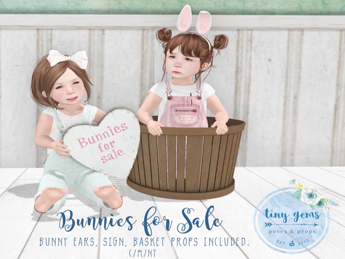 {tg.} - Bunnies for Sale! (boxed)