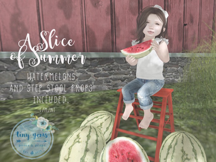 {tg.} - A Slice of Summer. - (boxed)