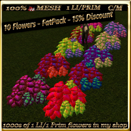 LW_ 10 of 2 Color Ground Caladiums - FatPack - 15% off