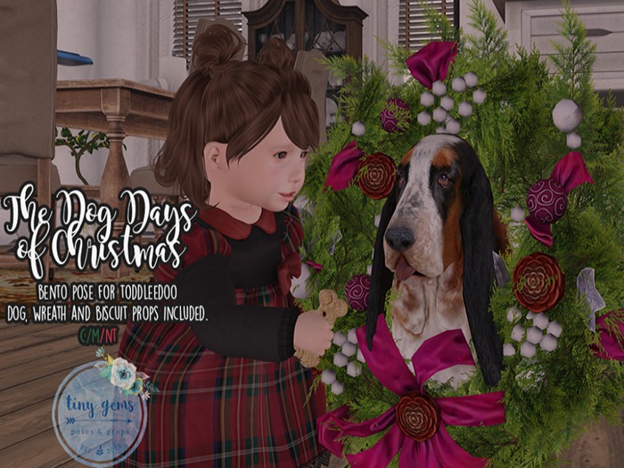 {tg.} - the dog days of christmas. (boxed - add to unpack.)