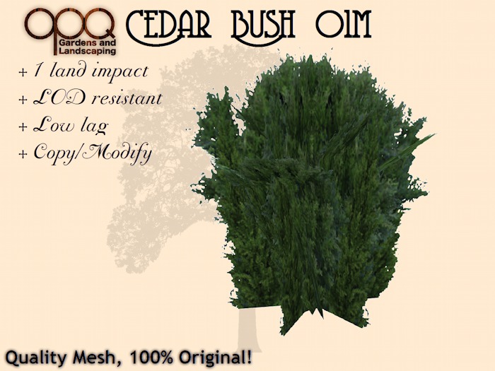 OPQ Cedar Bush 01m (CM) (Boxed)