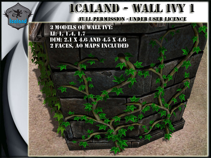 Icaland - Wall Ivy 1