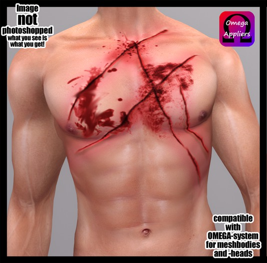 Wound_Gladiator_Chest_Omega