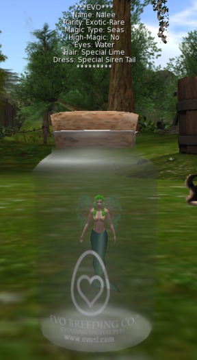 EVO*MC Fairy - #0697 Nalee (E-Rare) Ver. 2017