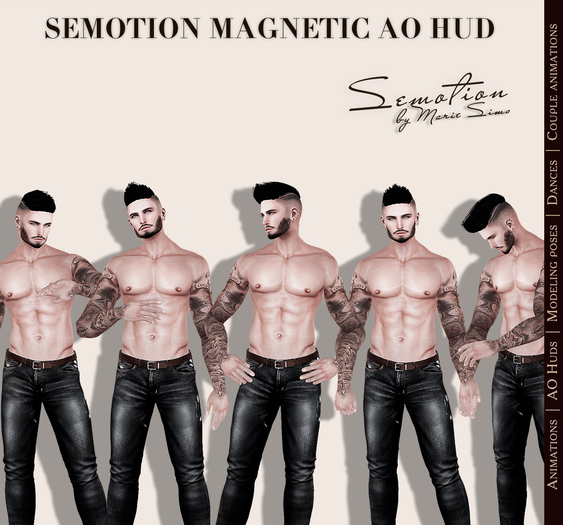 SEmotion Magnetic AO Box 3.8
