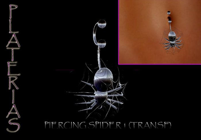 BOX PIERCING SPIDER 1