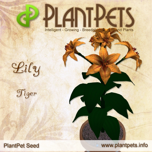 PlantPet Seed [Lily *Tiger*] 