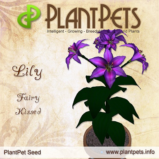 PlantPet Seed [Lily *Fairy Kissed*] (Updated!)