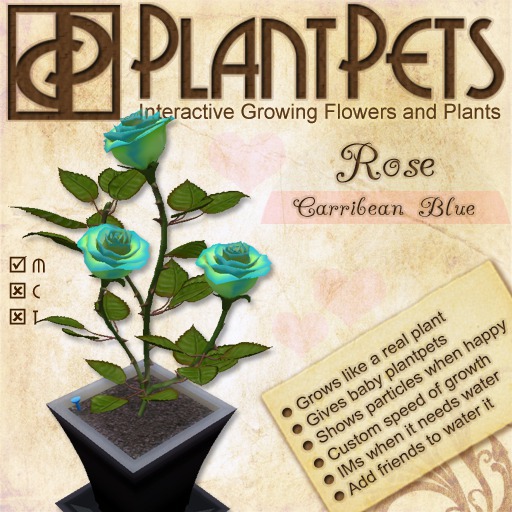 PlantPet Seed [Rose *Carribean Blue*] RARE