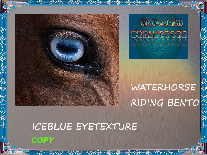 Waterhorse Riding Horse Eye ICE Blue