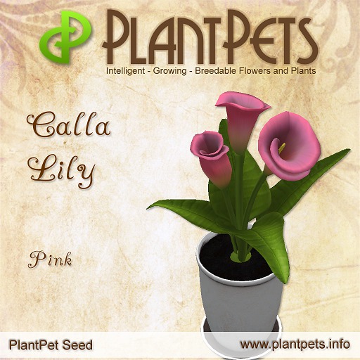 PlantPet Seed [Calla Lily *Pink*]