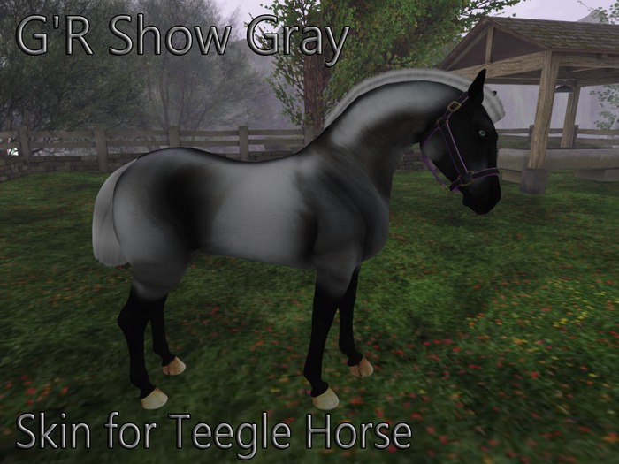 Teegle Skin G'R Show Gray