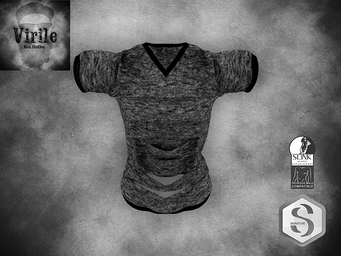 .::VIRILE::. Ripped TShirt - Demo